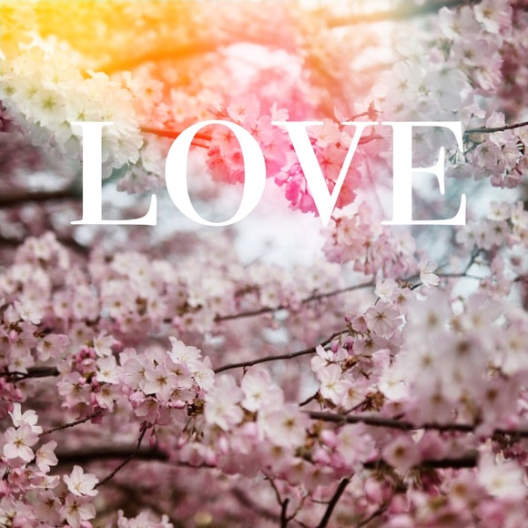 Meet your Posher, Matt thao - Picture 3 of 4